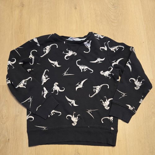 Dinosaurier jungen pullover - dinosaurier-,