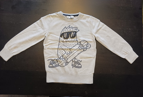 Jungen pullover hellgrau - jungen,